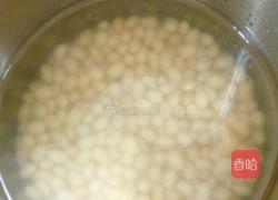 黄豆浆的做法图解5