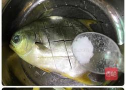 香煎金鲳鱼的做法图解3