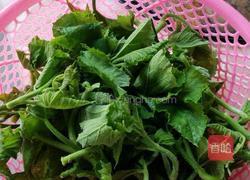 蒜蓉南瓜叶的做法图解1