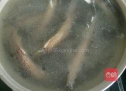 泥鳅汤的做法图解5