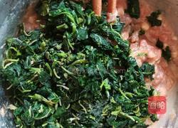 灰灰菜猪肉馅饼的做法图解3