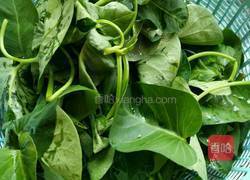 清炒空心菜的做法图解1