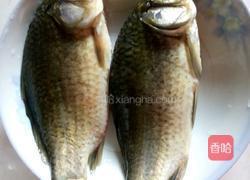 鲫鱼豆腐汤的做法图解1