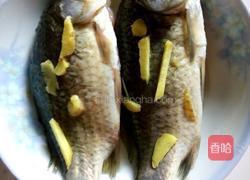 鲫鱼豆腐汤的做法图解4