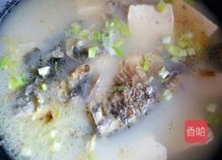鲫鱼豆腐汤的做法图解9