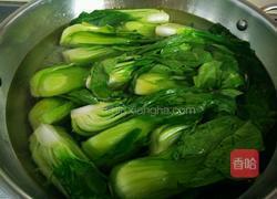 红烧狮子头的做法图解13