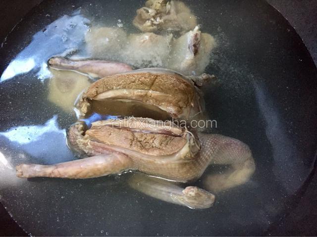 水开后要翻动一下鸽子