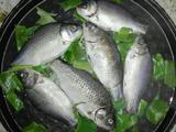 电饼铛葱叶烤小鱼的做法[图]