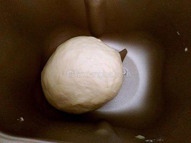 将面团继续放入面包桶开始进行发酵