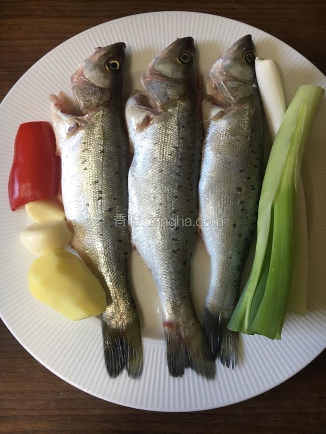 鱼洗净去内脏，调料备好。