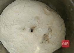 在家自制馒头和花卷的做法图解1