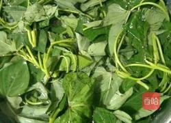 蒜香红薯叶的做法图解2