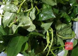 蒜香红薯叶的做法图解3