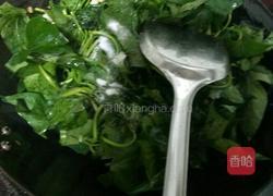 蒜香红薯叶的做法图解6