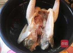 五指毛桃灵芝鸡汤的做法图解6