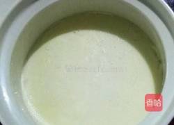 木瓜双皮奶的做法图解10