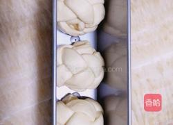 手编吐司的做法图解16