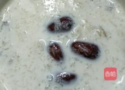 雪燕红枣炖牛奶的做法图解4