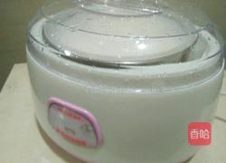 自制酸奶的做法图解5