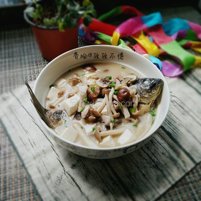 鲜菇鲫鱼汤