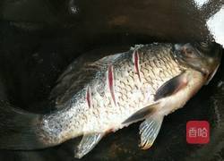 鲜菇鲫鱼汤的做法图解2