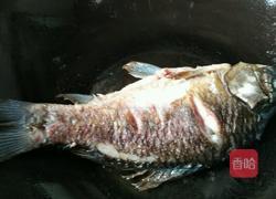 鲜菇鲫鱼汤的做法图解3