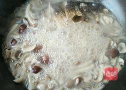 鲜菇鲫鱼汤的做法图解8