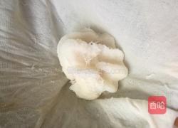 白萝卜肉包子的做法图解4