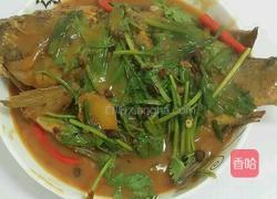 红焖福寿鱼的做法图解13