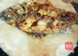 红焖福寿鱼的做法图解8