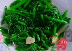 清炒南瓜藤的做法图解5