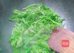 清炒南瓜藤的做法图解4