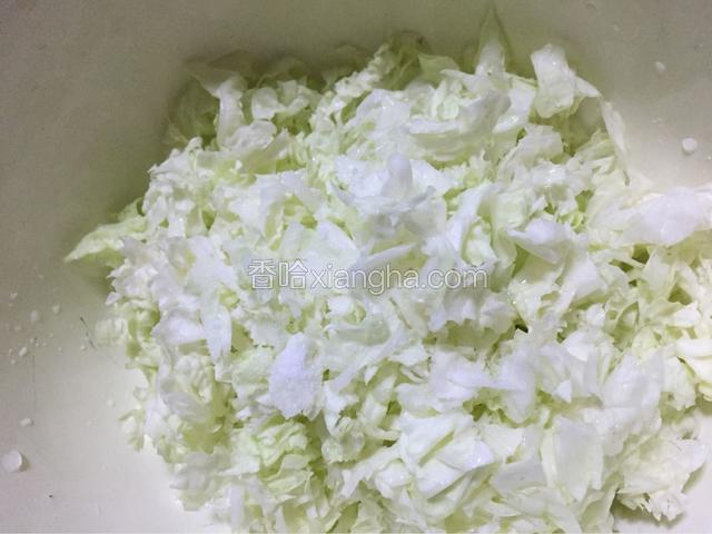 将白菜放入碗中，加入少量的盐，拌匀，将白菜腌一下