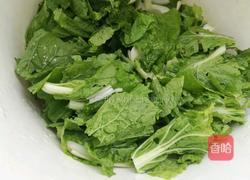 菜豆腐的做法图解3