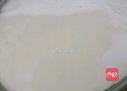 菜豆腐的做法图解4