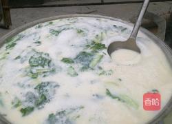 菜豆腐的做法图解7