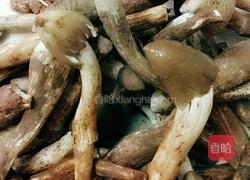 鸡枞油的做法图解1