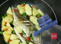 土豆烧鱼的做法图解4