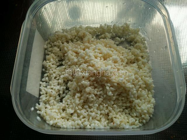 糯米提前泡上一夜，淘洗干净后虑去水分