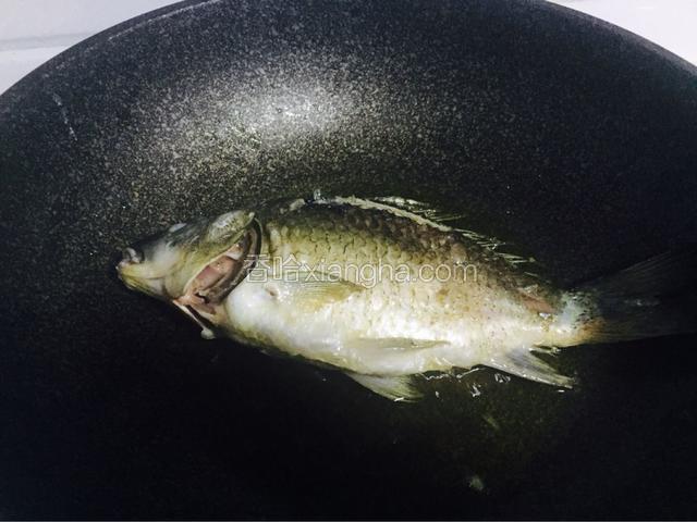 锅内倒油，油热后下鲫鱼煎制