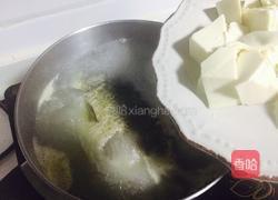 黑枸杞鲫鱼豆腐汤的做法图解8