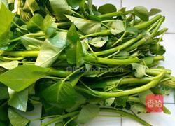 辣炒空心菜的做法图解2