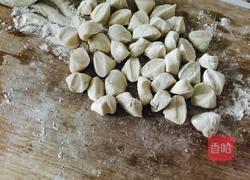 茴香大肉饺子的做法图解6
