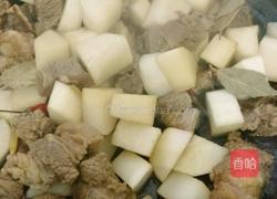 萝卜焖牛腩块的做法图解7