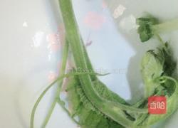 南瓜藤蔓素炒的做法图解2