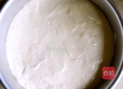 戚风椰蓉蛋糕的做法图解14