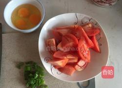 番茄炒蛋的做法图解2