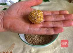 烤南瓜芝麻丸子的做法图解13