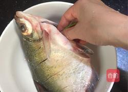 清蒸鳊鱼的做法图解4
