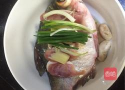 清蒸鳊鱼的做法图解7